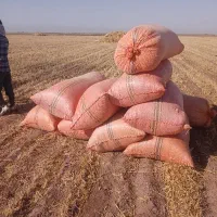 کاه