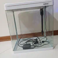 آکواریوم شرکتی