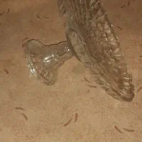 شیرینی ومیوه خوری..پنکه سقفی نو.توستر ،تزین ماشین