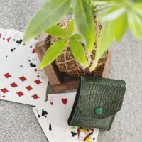 کیف پاسور