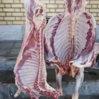 ذبح گوسفند قصاب سیار کم هزینه