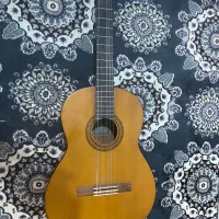 گیتار c40