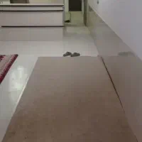 موکت