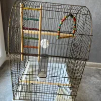 قفس پرنده