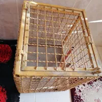 سبد زباله یا قفس پرنده