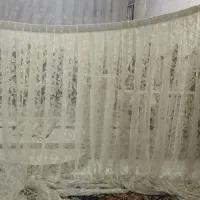 پرده ب همراه استر