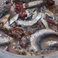 سور|ماهی|بندر کنگان, |دیوار