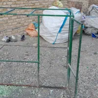 قفس کبوتر