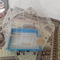 قفس پرنده