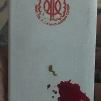 پاوربانک
