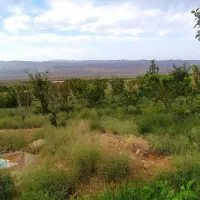 خانه باغ فروشی