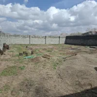 اجاره-زمین-کشاورزی-جهت-گلخانه-و