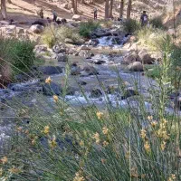 گروه تلگرام طبیعتی گردشی