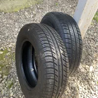 لاستیک|قطعات یدکی و لوازم جانبی|سنگر, |دیوار