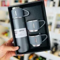 فلاکس مسافرتی