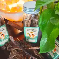 تشویقی های طبیعی پت