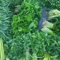 سبزی