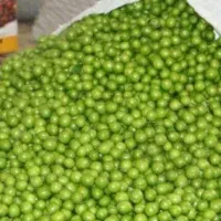 گوجه سبز جنگلی