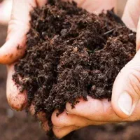 خاک سیاه مقوی جنگلی