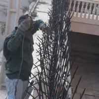 حفاظ شاخ گوزنی