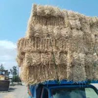 کاه گندم و جو پرس