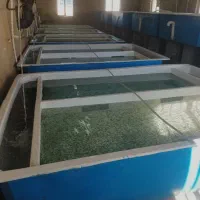 استخدام نیروی کار