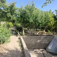 باغ چهار دیواری با بنای قدیمی ودرخت های کهنه
