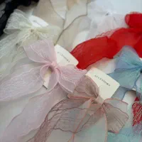 گیره و کلیپس