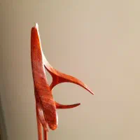 مضراب سنتور حرفه‌ای