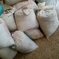 کود گوسفند