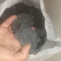 ذ. غ. ال  درشت بلیط دهدز