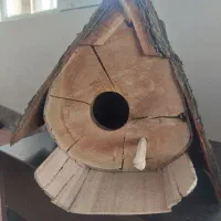 خانه چوبی پرنده