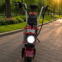 موتور برقی هارلی دیوید سون