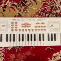 ارگ بچه گانه