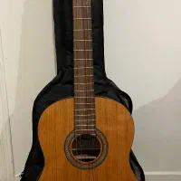 گیتار آریانا