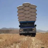 خریدوفروش کاه گندم وجو مناسب ترین قیمت