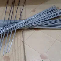 سیخ جگر