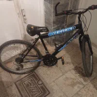 دوچرخه