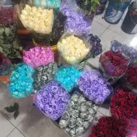 گل رز وگل افتاب گردان وگل مریم