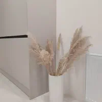 بیست شاخه گل خشک زیبا و سالم برای دکور