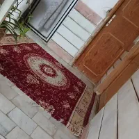 سوئیت|اجارهٔ کوتاهمدت آپارتمان و سوئیت|گالیکش, |دیوار
