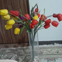 شاخه گل لاله