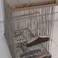 قفس پرنده