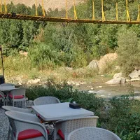 استخدام نیروی کار