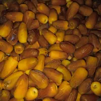 رطب المهتری
