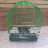 قفس