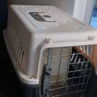 باکس پت