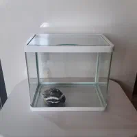 اکواریوم شیشه خم برای ماهی