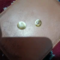 پرخواص