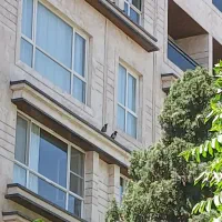 هروی-تاپ-لوکیشن-135متر-دو-خواب